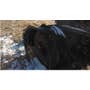 1976 Used International 1486 Tractor parts. 1976 Used International 1486 Tractor parts.