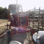 Used International 886 Tractor parts. Used International 886 Tractor parts.