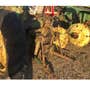 Used John Deere 2010 Tractor parts. Used John Deere 2010 Tractor parts.