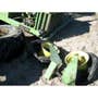 Used John Deere 2280 Hay Cutting parts. Used John Deere 2280 Hay Cutting parts.