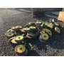 Used John Deere 2520 Tractor parts. Used John Deere 2520 Tractor parts.