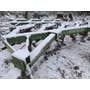Used John Deere 2600 Tillage parts. Used John Deere 2600 Tillage parts.