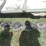 Used John Deere 270 Hay Cutting parts. Used John Deere 270 Hay Cutting parts.