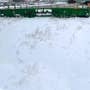 2014 Used John Deere 612C Header parts. 2014 Used John Deere 612C Header parts.