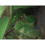 Used John Deere 7720 Combine parts. Used John Deere 7720 Combine parts.