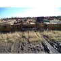 2009 Used Lexion C512-30 Header parts. 2009 Used Lexion C512-30 Header parts.