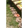Used New Holland 465 Hay Cutting parts. Used New Holland 465 Hay Cutting parts.