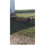 Used New Holland 465 Hay Cutting parts. Used New Holland 465 Hay Cutting parts.