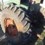 Used Oliver 1800 Tractor parts. Used Oliver 1800 Tractor parts.