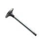 166092 | Valve Inlet | Case 40XT 60XT 70XT 75XT 85XT 90XT 95XT 1840 1845C | Case IH MX100 MX110 MX120 MX135 MX150 MX170 SPX3150 SPX3185 SPX3200 SPX3310 1640 1644 1800 2022 2044 2144 2344 3150 3185 3210 5120 5130 | | J920867 | 3901117 | J901117 | 3920867 166092 | Valve Inlet | Case 40XT 60XT 70XT 75XT 85XT 90XT 95XT 1840 1845C | Case IH MX100 MX110 MX120 MX135 MX150 MX170 SPX3150 SPX3185 SPX3200 SPX3310 1640 1644 1800 2022 2044 2144 2344 3150 3185 3210 5120 5130 | | J920867 | 3901117 | J901117 | 3920867