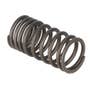 128674 | Valve Spring | Case W7 W8 W9 W10 W12 400 680 730 830 840 850 930 940 1030 1150 1200 | | A21076 128674 | Valve Spring | Case W7 W8 W9 W10 W12 400 680 730 830 840 850 930 940 1030 1150 1200 | | A21076