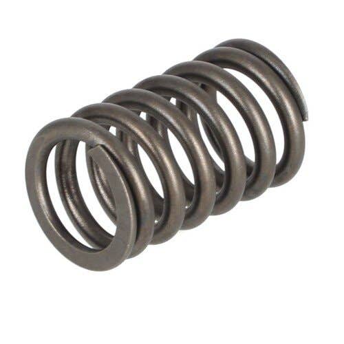 161026 | Valve Spring | Case W7E W7E W8E W9E W10E W10E W14 W14FL W14FL W14H W14H W18 W18 W18B W18B W20 W20 W20B W20B W20C W20C W24 W24B W24B W24C W24C W26B W26B W30 W30 W36 W36 35B 35B 40D 40E 50E 267BD 300C 301BD 336BD 336BDT 400C |  | A66444 | A66444