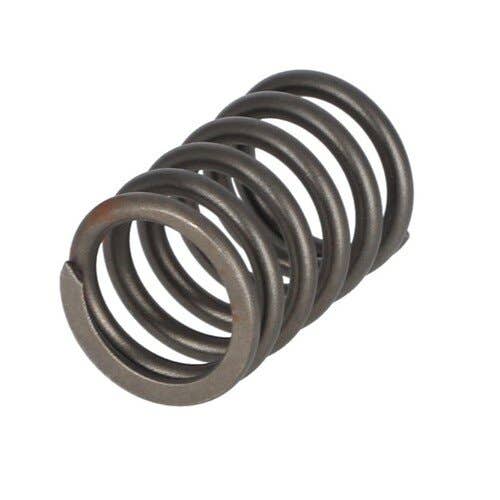 166305 | Valve Spring | Ford A62 A62 A64 A64 A66 A66 TW5 TW10 TW15 TW20 TW25 TW30 TW35 230A 230A 231 233 234 250C 250C 260C 260C 333 334 334 335 335 340 340 340A 340A 340B 340B 345C 345C 345D 345D 420 420 445 445 |  | D6NN6513A | D6NN6513A | C5NE6513A