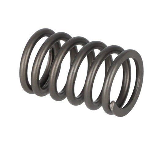 166305 | Valve Spring | Ford A62 A62 A64 A64 A66 A66 TW5 TW10 TW15 TW20 TW25 TW30 TW35 230A 230A 231 233 234 250C 250C 260C 260C 333 334 334 335 335 340 340 340A 340A 340B 340B 345C 345C 345D 345D 420 420 445 445 |  | D6NN6513A | D6NN6513A | C5NE6513A