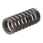 167382 | Valve Spring | John Deere 744H 6650 6750 6850 6950 9100 9200 9300 9300T 9400 9400T | | R133891 167382 | Valve Spring | John Deere 744H 6650 6750 6850 6950 9100 9200 9300 9300T 9400 9400T | | R133891
