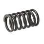 173570 | Valve Spring | Massey Ferguson 65 65 165 3165 3165 | Continental G176 | | 1010268M1 | 841374M91 173570 | Valve Spring | Massey Ferguson 65 65 165 3165 3165 | Continental G176 | | 1010268M1 | 841374M91