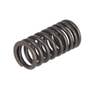 108428 | Valve Spring | Massey Ferguson TO20 TO30 TO35 35 50 202 204 2135 2200 | Continental F124 F140 F162 Z120 Z129 Z134 Z145 | Massey Harris 20 22 23 30 | Oliver Super 44 440 | | 840754M91 108428 | Valve Spring | Massey Ferguson TO20 TO30 TO35 35 50 202 204 2135 2200 | Continental F124 F140 F162 Z120 Z129 Z134 Z145 | Massey Harris 20 22 23 30 | Oliver Super 44 440 | | 840754M91