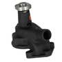 205276 | Water Pump | Allis Chalmers WC WD WD45 WF | | 70250396 | 70226320 | 79003712 | 79004298 | 79016822 | 108317 | 125577 205276 | Water Pump | Allis Chalmers WC WD WD45 WF | | 70250396 | 70226320 | 79003712 | 79004298 | 79016822 | 108317 | 125577