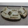 431566 | Wheel Weight Set | International | Farmall | IH Hydro 84 200 230 240 240 300 330 340 340 350 385 404 424 444 444 454 460 464 484 504 544 574 584 606 656 664 674 684 784 884 2400A 2400A 2404 2404 2424 2424 2444 2444 2500A 2500A 2504 | | 365321R2 431566 | Wheel Weight Set | International | Farmall | IH Hydro 84 200 230 240 240 300 330 340 340 350 385 404 424 444 444 454 460 464 484 504 544 574 584 606 656 664 674 684 784 884 2400A 2400A 2404 2404 2424 2424 2444 2444 2500A 2500A 2504 | | 365321R2