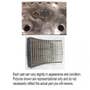430702 | Wide Spaced Concave - Left Hand | Case IH 7010 7120 7230 7240 8010 8120 8230 8240 9120 9230 9240 | | 84237556 | 86999090 430702 | Wide Spaced Concave - Left Hand | Case IH 7010 7120 7230 7240 8010 8120 8230 8240 9120 9230 9240 | | 84237556 | 86999090