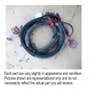 498275 | Wiring Harness | Case IH 2344 2366 2388 | | 276602A1 498275 | Wiring Harness | Case IH 2344 2366 2388 | | 276602A1