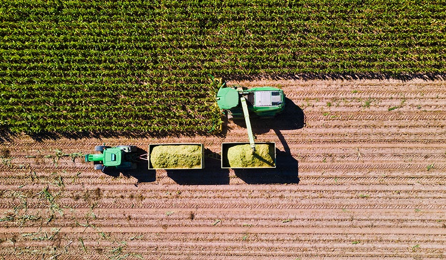 Post-Harvest Maintenance Tips