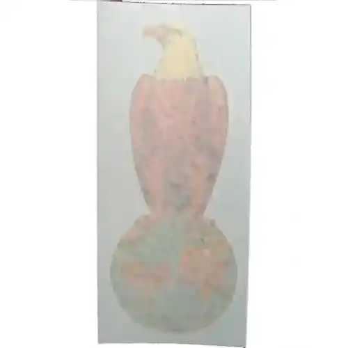 Decal Eagle Vinyl 9-1/2" fits Case 310 320 420 450 680CK 300 400 430 530 630 730 770 870 930 970 1030 1070 1175 1270 1370 1490 1570 fits David Brown