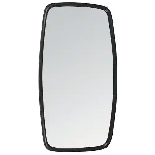 Mirror Head 9" x 16"